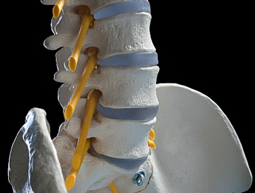 chirotherapie